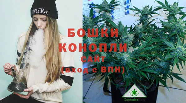 шишки Семилуки